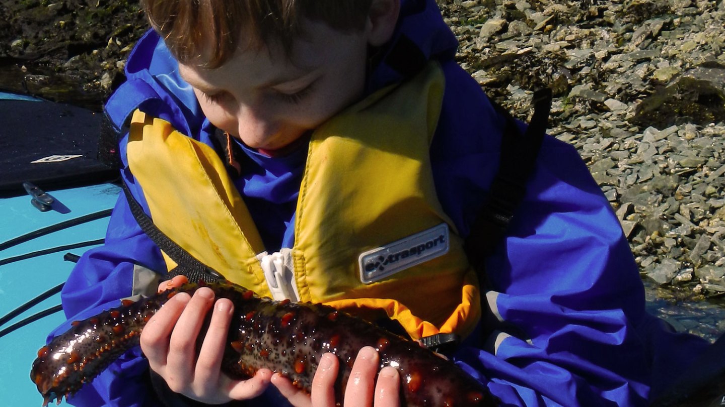 a little boy that is sitting on the back of a crab