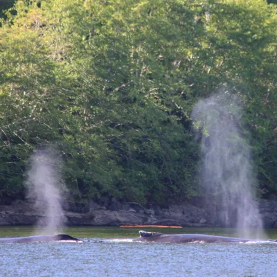 smoke coming out of the water