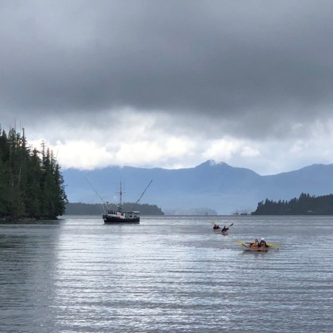 a small boat in a large body of water