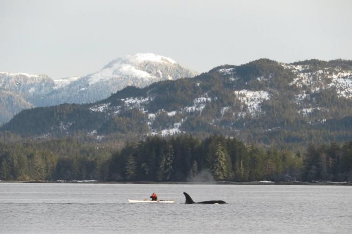 a body of water with a mountain in the background