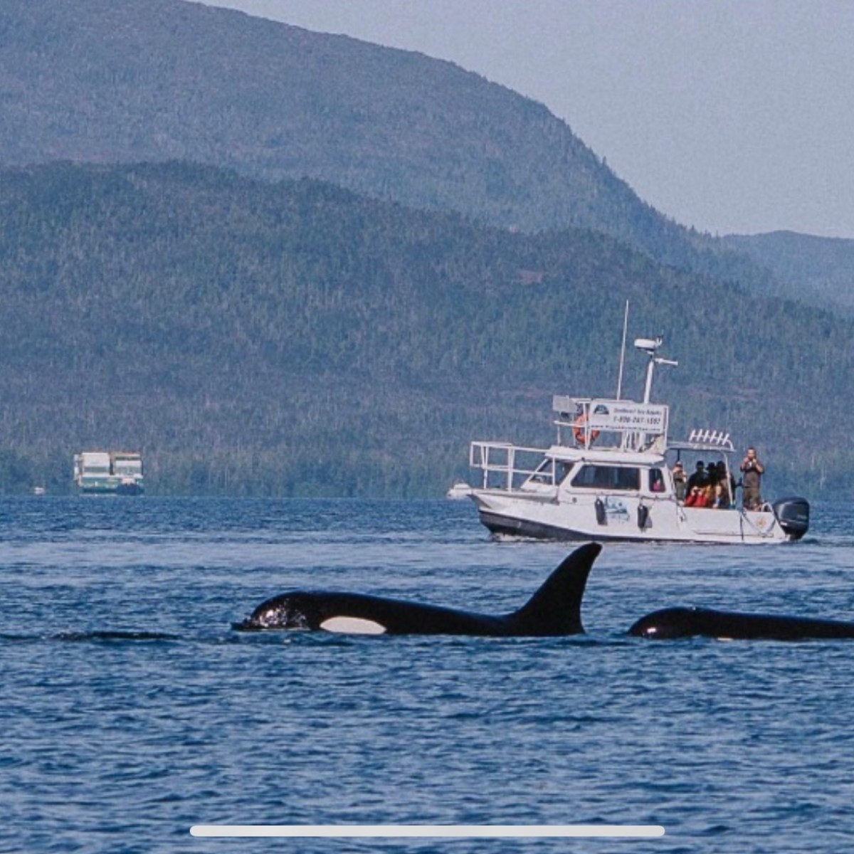 a small boat in a body of water with a mountain in the background