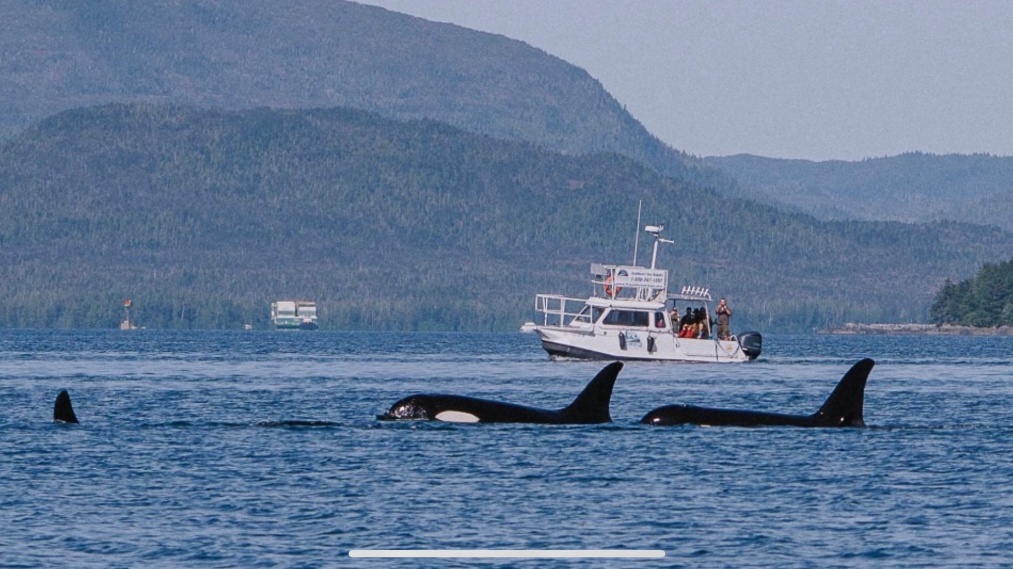a small boat in a body of water with a mountain in the background