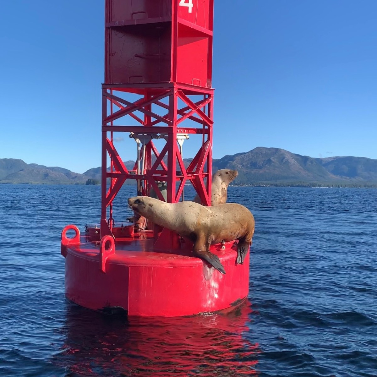 a small boat in a large body of water