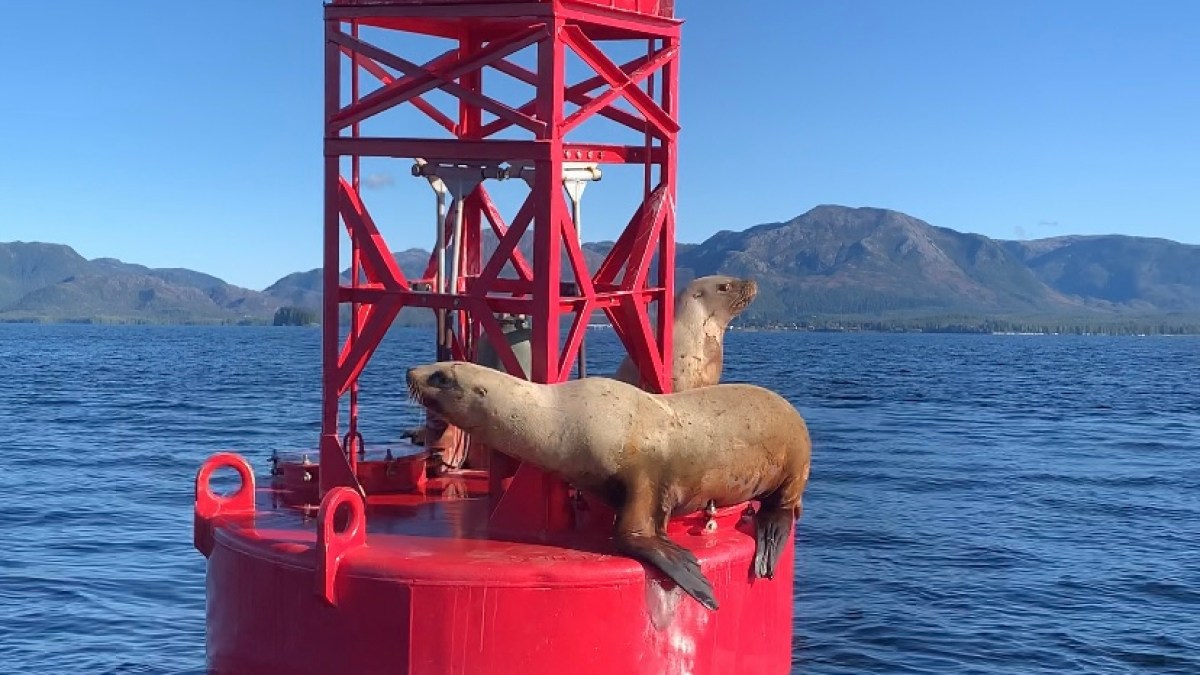 a small boat in a large body of water